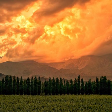 Alpasion Lodge Tunuyán エクステリア 写真