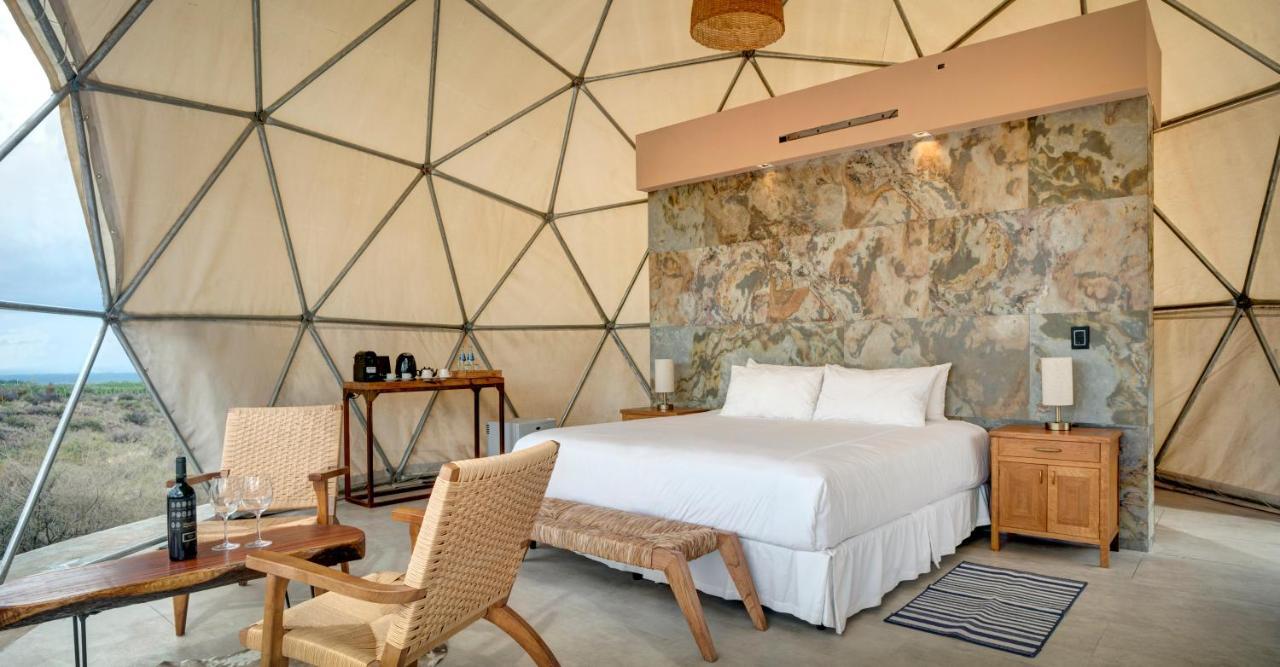Alpasion Lodge Tunuyán エクステリア 写真