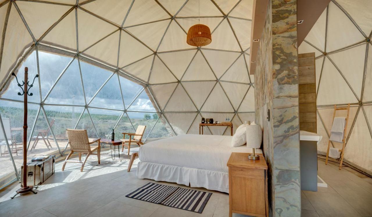 Alpasion Lodge Tunuyán エクステリア 写真